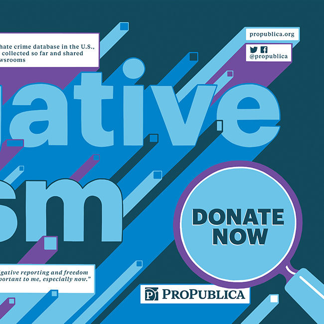 ProPublica Fundraising Campaign